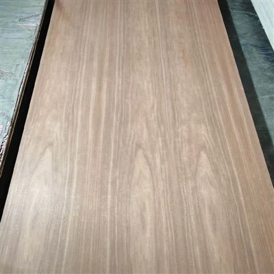 Bintangor Plywood2 suppliers