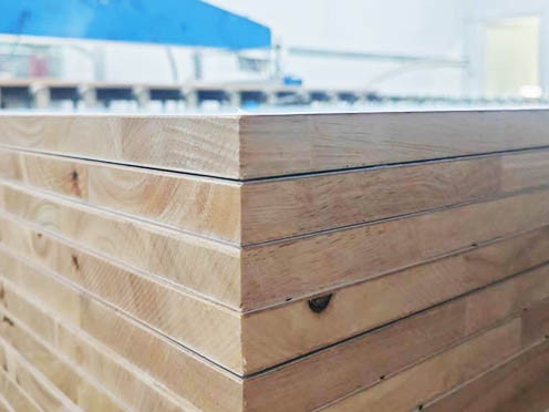 product-496-372 product-496-372