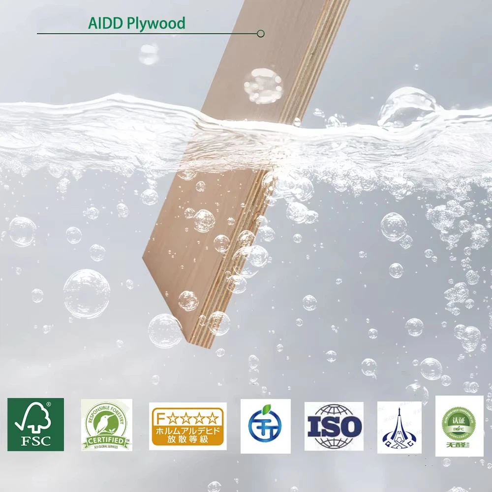 product-1000-1000