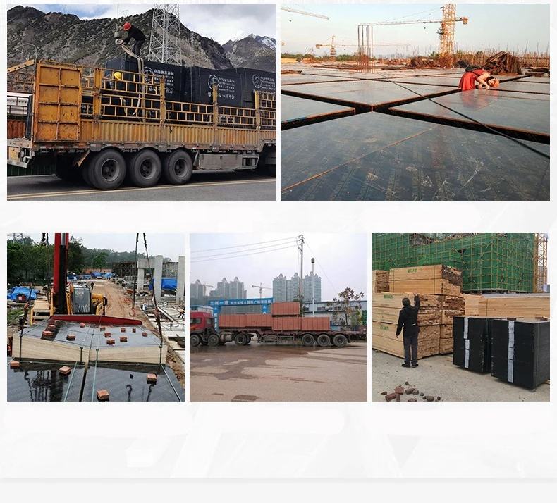 product-790-714